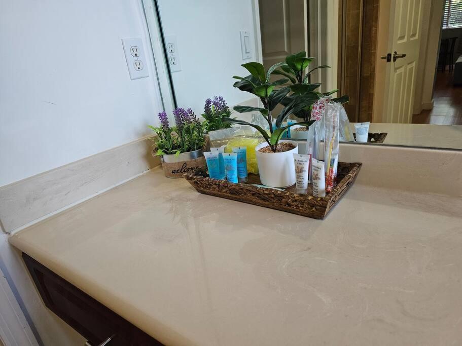 D&N Property Rental Miami Luaran gambar